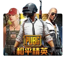 Pubg - MG138